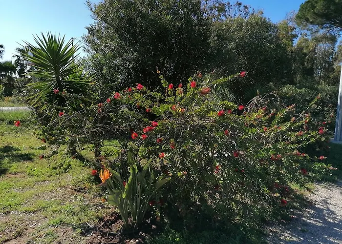 Il Patio Alghero