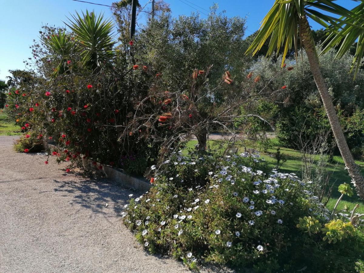 Il Patio Alghero Apartment Santa Maria la Palma